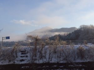 IMG_4343