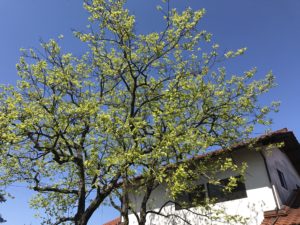 IMG_4754