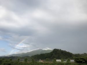 IMG_5651