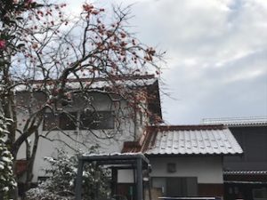IMG_6035