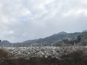IMG_6037