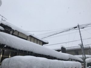 08B5B5D8-7580-4E4A-AF04-F949F85F0BA6