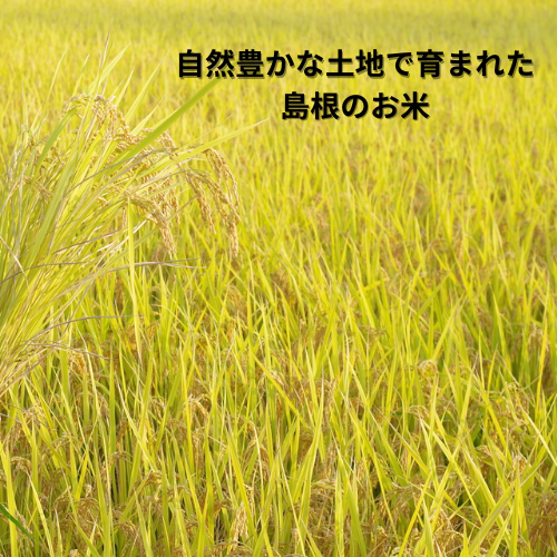 島根のお米3ｋｇ